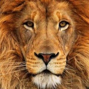 Meet your Posher, Ayanle